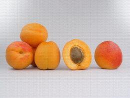 Variété d'abricot : Tom Cot